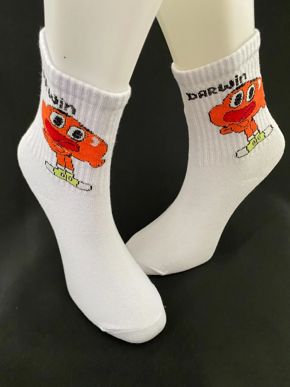 Darwin Watterson desenli tenis çorap2